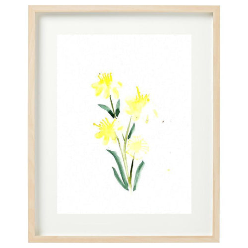 Aniseed Myrtle Framed Watercolour Print-Bessiebelle