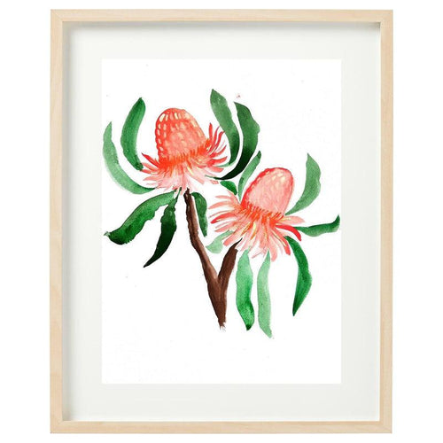 Banksia Framed Watercolour Print-Bessiebelle