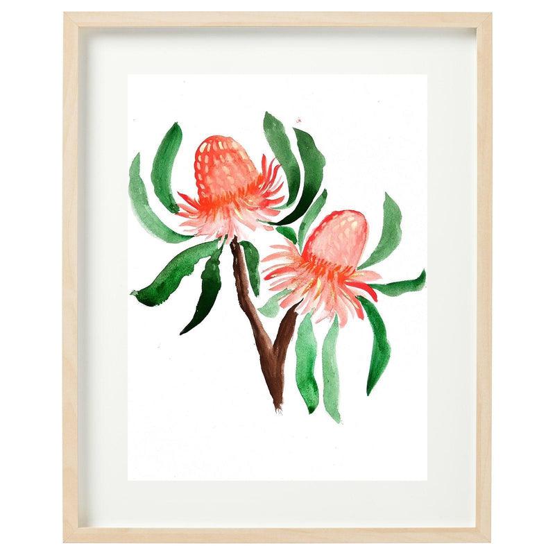 Banksia Framed Watercolour Print-Bessiebelle