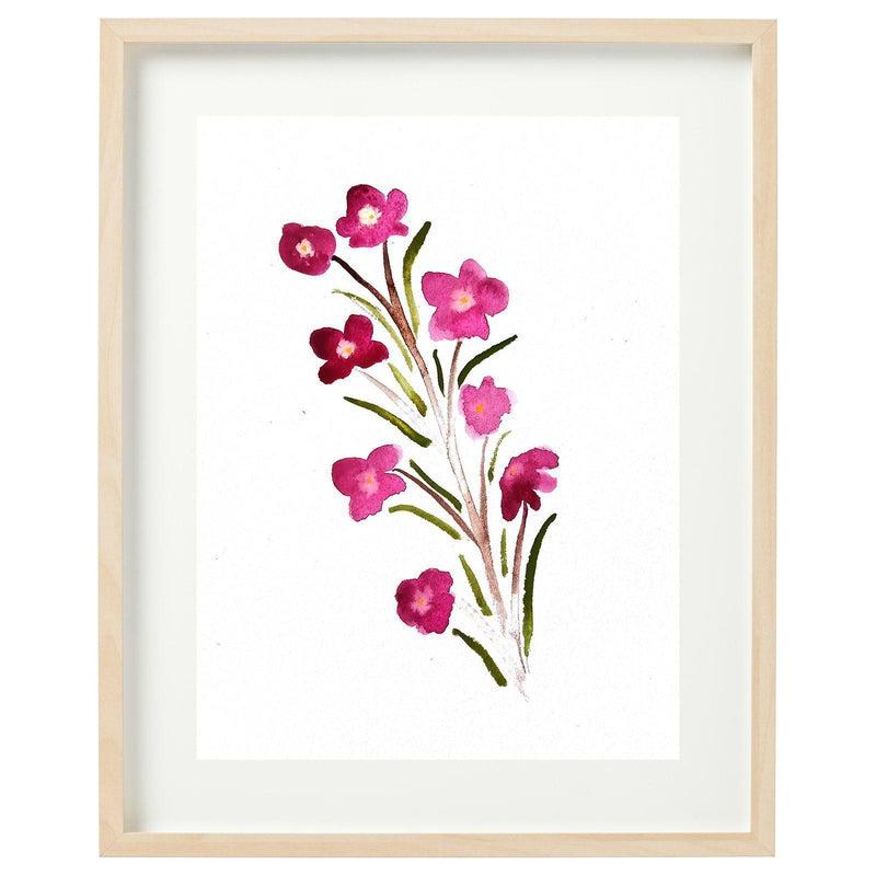 Boronia Framed Watercolour Print-Bessiebelle