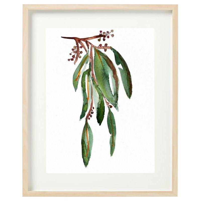 Australian Sandalwood Framed Watercolour Print-Bessiebelle