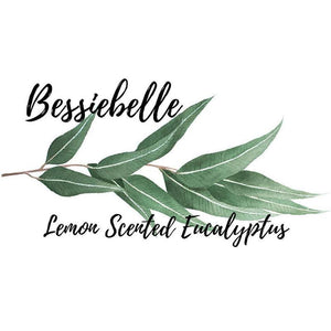 Lemon Scented Eucalyptus Bath Salts-Bessiebelle