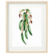 Load image into Gallery viewer, Peppermint Eucalyptus Framed Watercolour Print-Bessiebelle
