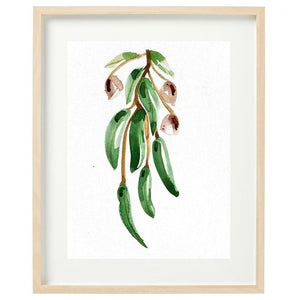 Peppermint Eucalyptus Framed Watercolour Print-Bessiebelle