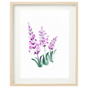 Wild Lavender Framed Watercolour Print-Bessiebelle